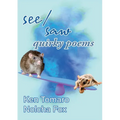 Seesaw: Quirky Poems