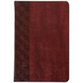 The Passion Translation New Testament (2020 Edition) Brown: With Psalms, Proverbs, and Song of Songs