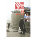 South Bronx Rising: The Rise, Fall, and Resurrection of an American City