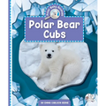 Polar Bear Cubs