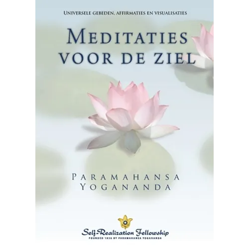 Metaphysical Meditations (Dutch)