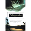 An Imaginary Life