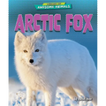 Arctic Fox