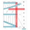 Metacosm: A Study of The Bible Book Order