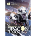 Reincarnated as a Dragon Hatchling (Light Novel) Vol. 9