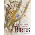 Drawing and Painting Birds