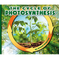 The Cycle of Photosynthesis