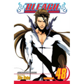 Bleach, Vol. 48