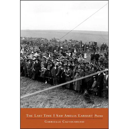The Last Time I Saw Amelia Earhart: Poems