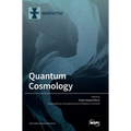 Quantum Cosmology