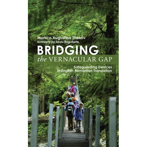 Bridging the Vernacular Gap: Safeguarding Devices in English-Romanian Translation
