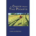 A Choice from Two Pockets