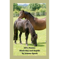 Jill's Ponies: Black Boy and Rapide