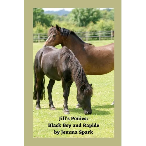 Jill's Ponies: Black Boy and Rapide