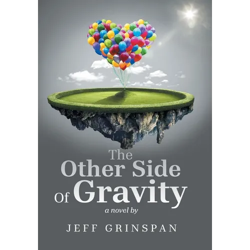 The Other Side Of Gravity: a novel by