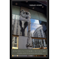 Seas of Glass and Barriers of Substance: A Global Survey of Windows and Portals