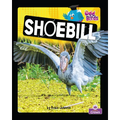 Shoebill
