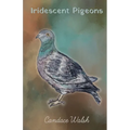 Iridescent Pigeons