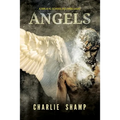 Angels: A Biblical School of Living Light