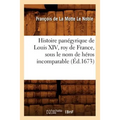 Histoire Panégyrique de Louis XIV, Roy de France, Sous Le Nom de Héros Incomparable (Éd.1673)