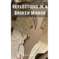 Reflections in a Broken Mirror