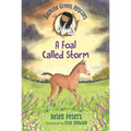 Jasmine Green Rescues: A Foal Called Storm