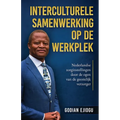 Interculturele Samenwerking Op De Werkplek: Nederlandse zorginstellingen door de ogen van de geestelijk verzorger