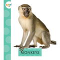 Monkeys
