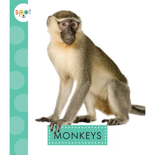 Monkeys