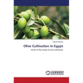 Olive Cultivation in Egypt