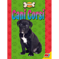 Cani Corsi