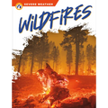 Wildfires