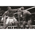 The Boxing Register: International Boxing Hall of Fame Official Record Book