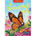 A Butterfly's Day