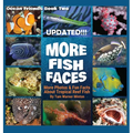 More Fish Faces UPDATED: Updated Photos and Fun Facts about Tropical Reef Fish
