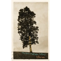 God Is a Tree: and Other Middle-Aged Prayers
