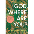 God, Where Are You?: Unmasking Your Pain, Uncovering His Presence