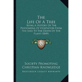 The Life Of A Tree: Being A History Of The Phenomena Of Vegetation From The Seed To The Death Of The Plant (1849)