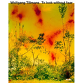 Wolfgang Tillmans: To Look Without Fear