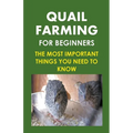 Quail Farming For Beginners: The Most Important Things You Need To Know