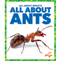 All about Ants