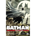 Batman by Paul Dini Omnibus (New Edition)