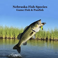 Nebraska Game Fish and Panfish Species Kids Book: Great Book About the Different Types of Fish in Nebraska