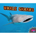 Whale Sharks