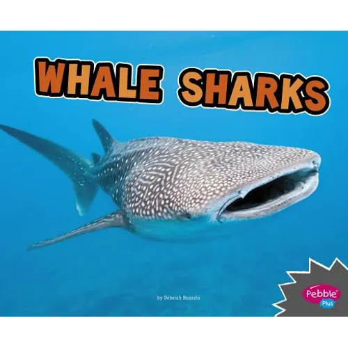 Whale Sharks