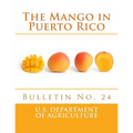 The Mango in Puerto Rico: Bulletin No. 24