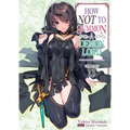 How Not to Summon a Demon Lord: Volume 13 (Light Novel): Volume 13
