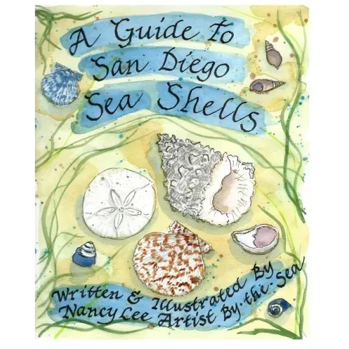 A Guide to San Diego Sea Shells