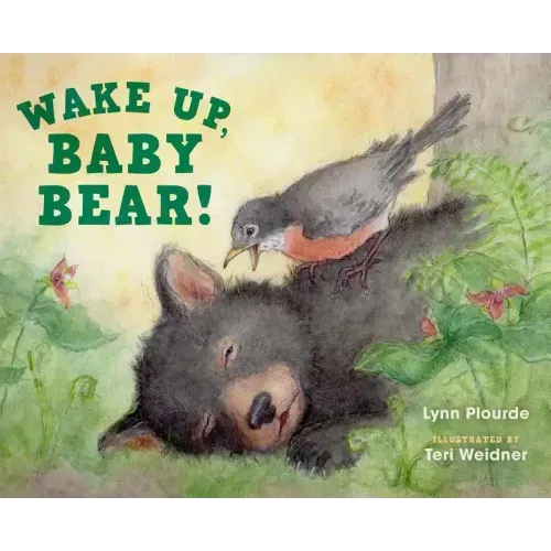Wake Up, Baby Bear!