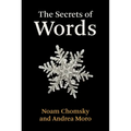 The Secrets of Words